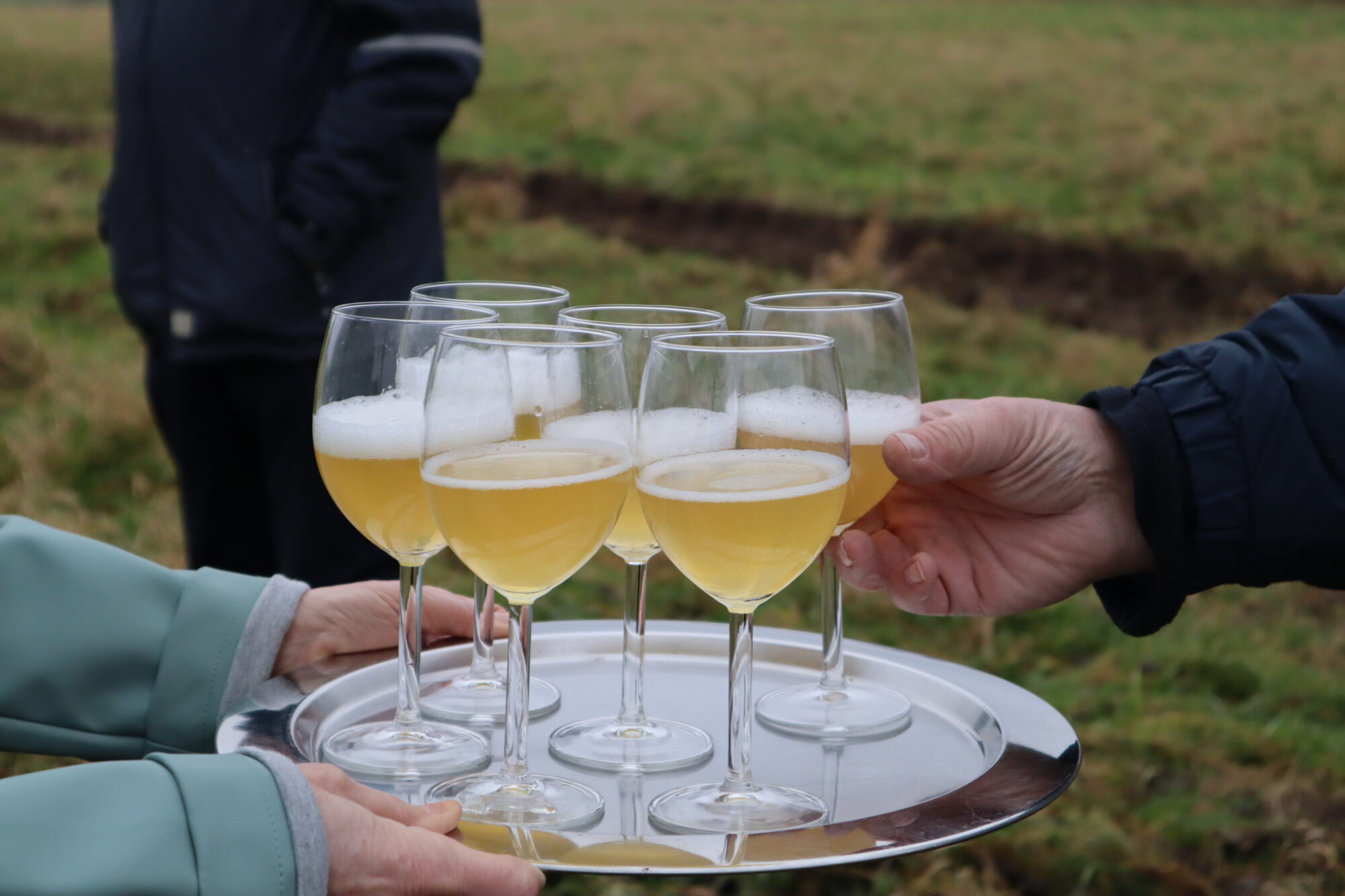 Aanleg Hoogstamboomgaard – Angela Enthoven3 cider