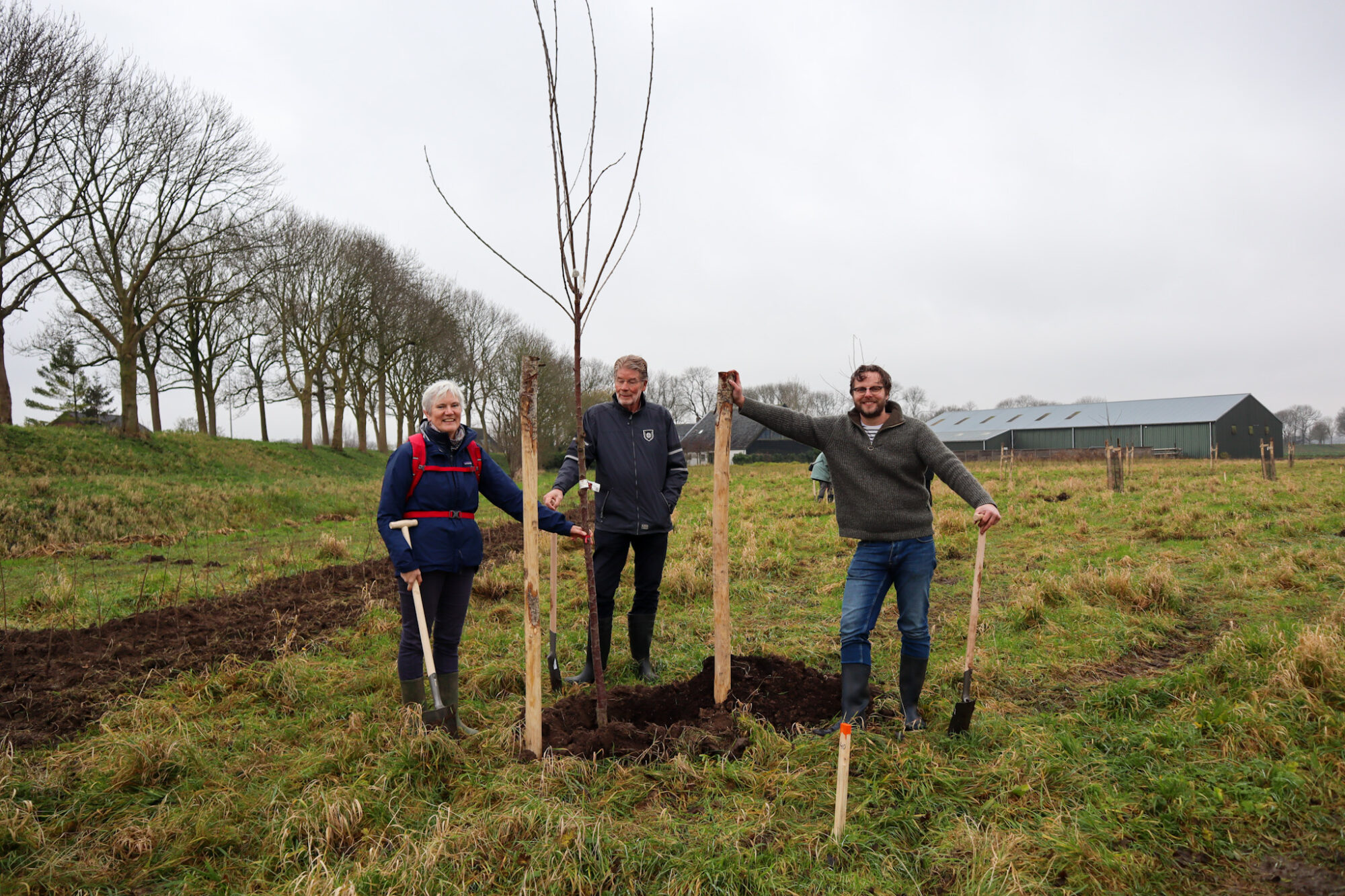 hoogstamboomgaarden Buijtenland van Rhoon